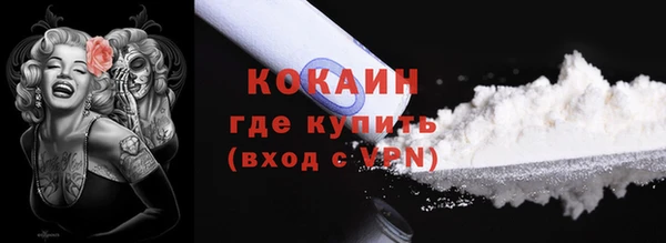 дмт Богородск
