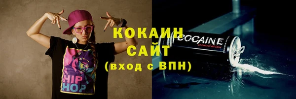 дмт Богородск