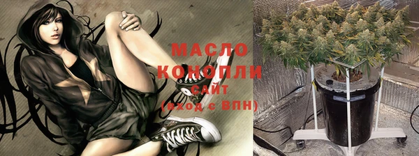 дмт Богородск