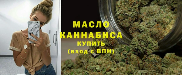 дмт Богородск