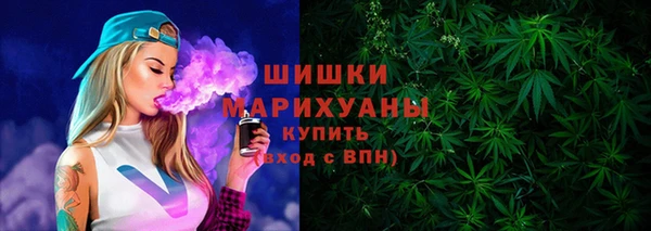индика Бугульма